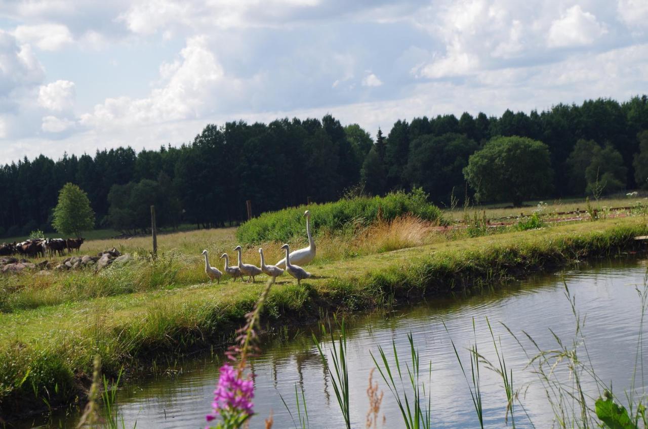 Ekereds Gardsstuga Dalstorp Bagian luar foto